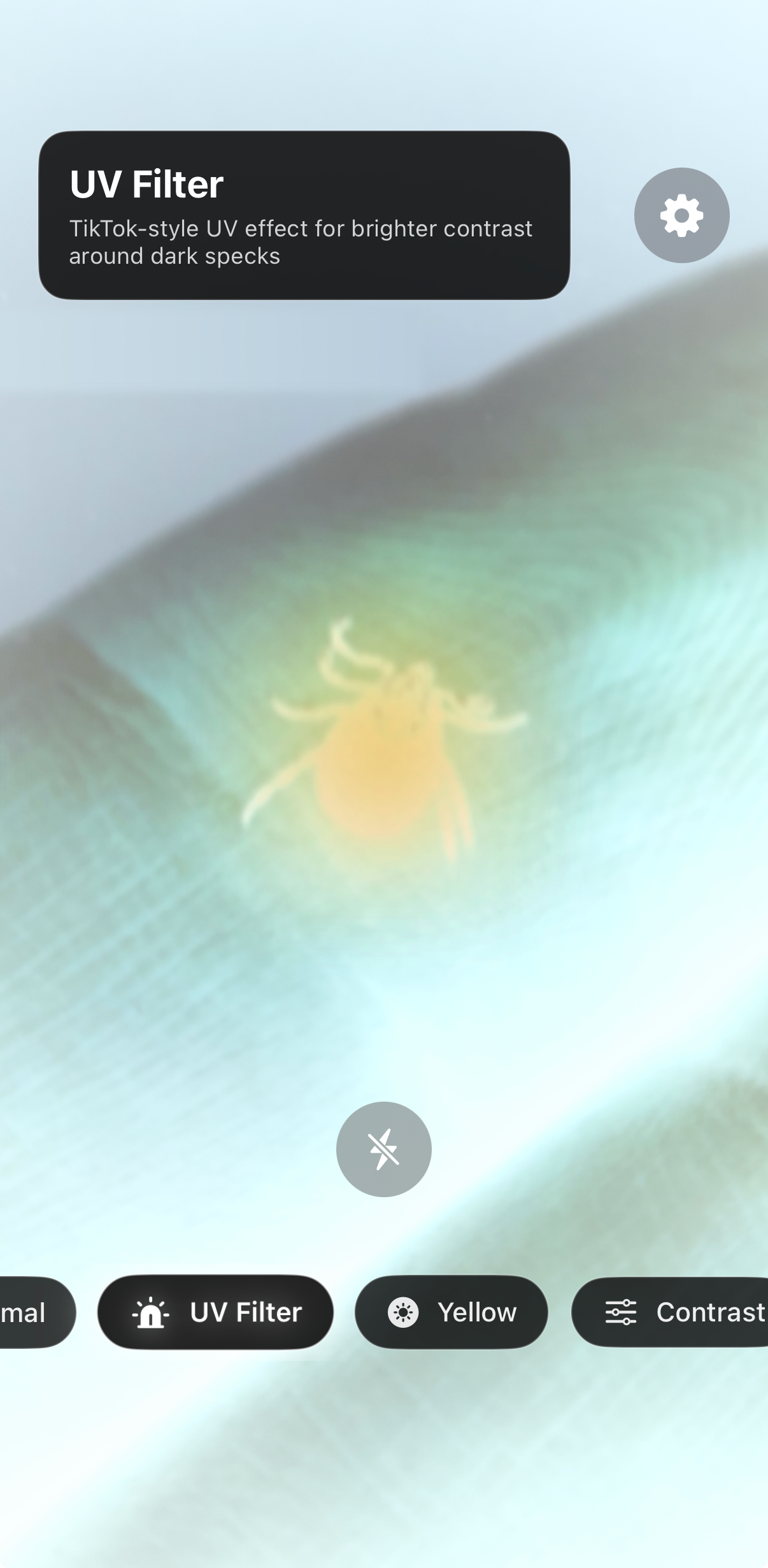 Tick identification app visual filter screenshot